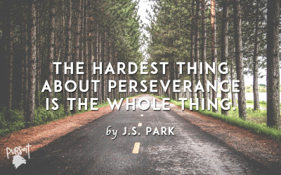 The Hardest Thing About Perseverance Is the Whole Thing