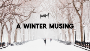 A Winter Musing