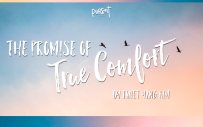 The Promise of True Comfort